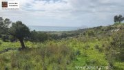 Kalamaki Kreta, Kalamaki Grundstück 2.600 m² zu verkaufen Grundstück kaufen